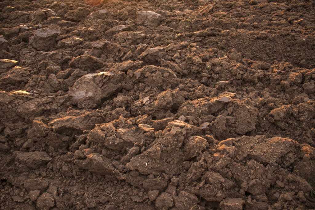 Clay soil around a house