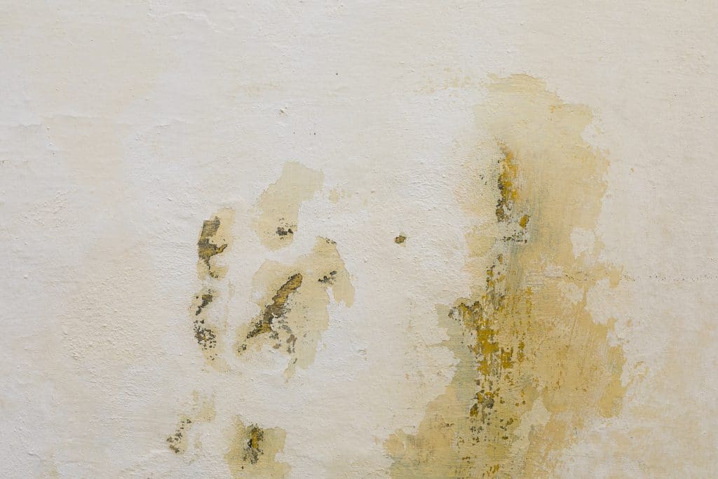 Why DIY Basement Mould Removal Is Dangerous