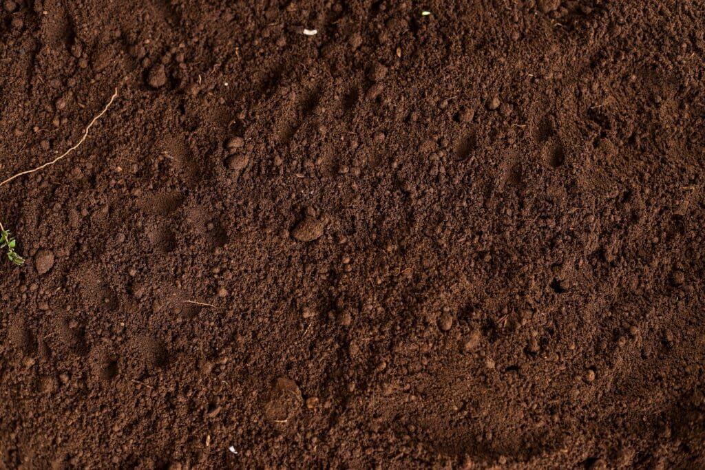 Loam soil for grading