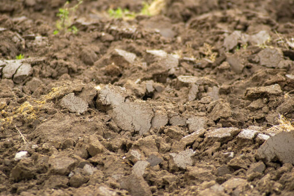 Silt soil for grading